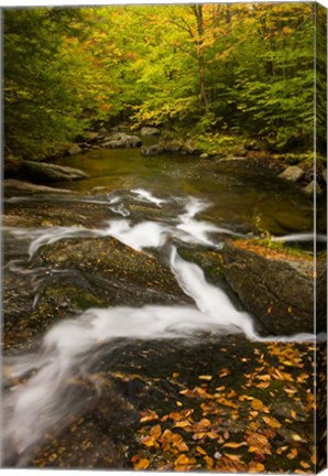 Framed Autumn stream, Grafton, New Hampshire Print