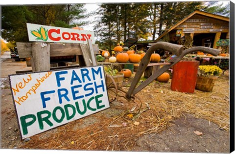 Framed Farm stand in Holderness, New Hampshire Print