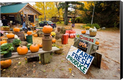 Framed Farm stand, Holderness, New Hampshire Print