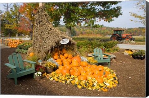 Framed Moulton Farm farmstand in Meredith, New Hampshire Print