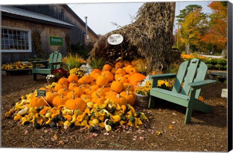 Framed Gourds at the Moulton Farm farmstand in Meredith, New Hampshire Print