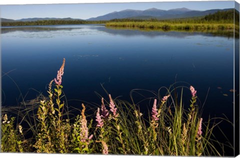 Framed Big Cherry Pond, New Hampshire Print