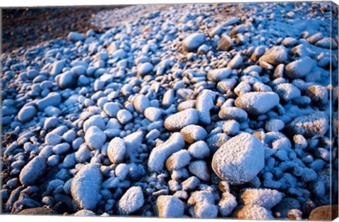 Framed Winter cobblestones, Odiorne, New Hampshire Print