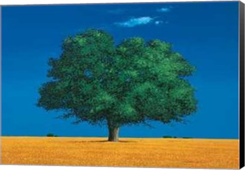 Framed Albero Nei Campi Print