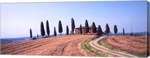 Framed Trees on a Hill, Tuscany, Italy Print