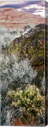 Framed Cliffs in Snow Canyon State Park, Utah Print