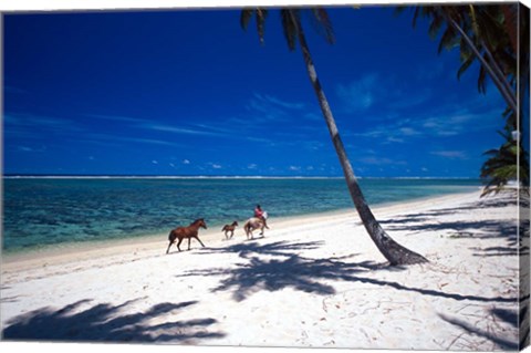 Framed Horses on Beach, Tambua Sands Resort, Coral Coast, Fiji Print