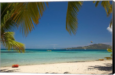 Framed Beach and palm trees, Plantation Island Resort, Malolo Lailai Island, Fiji Print