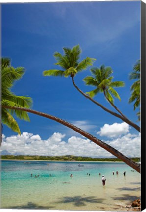 Framed Palm trees, Shangri-La Fijian Resort, Yanuca Island, Coral Coast, Viti Levu, Fiji Print