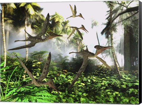 Framed flock of Pterodactylus reptiles fly over the jungle searching for their next meal Print