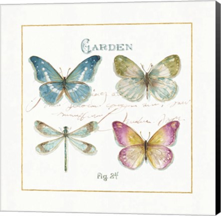 Framed Rainbow Seeds Butterflies IV Print