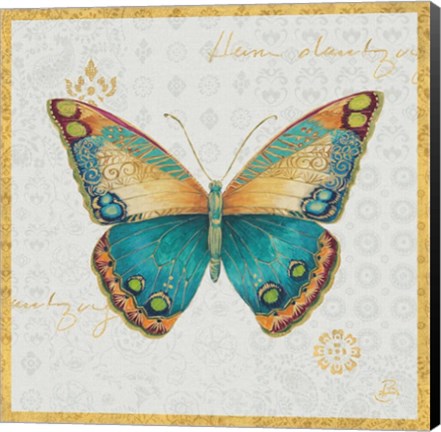 Framed Bohemian Wings Butterfly II Print