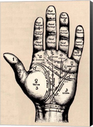 Framed Palmistry Print