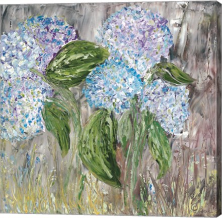 Framed Hydrangeas in Bloom Print