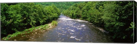 Framed River Passing through a Forest, Pigeon River, Cherokee National Forest, Tennessee Print