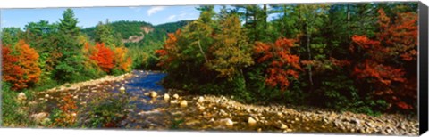 Framed River flowing through a Forest, Swift River, White Mountain National Forest, New Hampshire Print