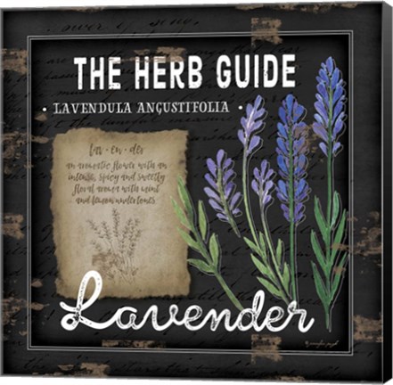 Framed Herb Guide Lavender Print