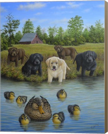 Framed Puppies And Ducklings Print