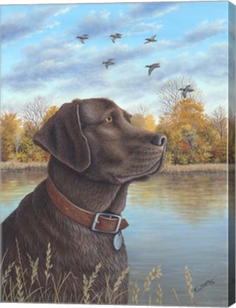 Framed Chocolate Lab Print