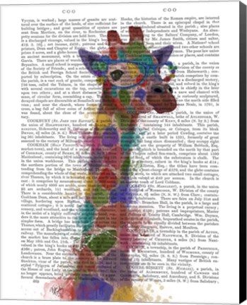 Framed Rainbow Splash Giraffe 2 Print