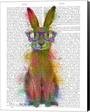 Framed Rainbow Splash Rabbit 1 Print