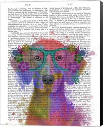 Framed Rainbow Splash Weimaraner, Portrait Print