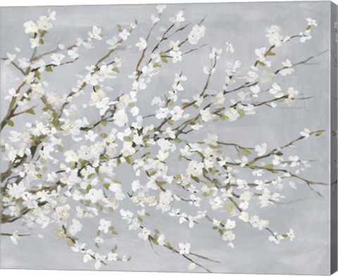 Framed White Blossoms Print