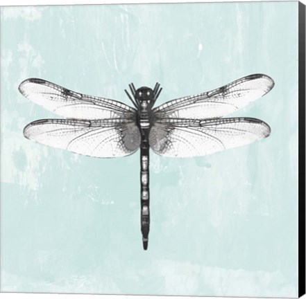 Framed Dragonfly I Print