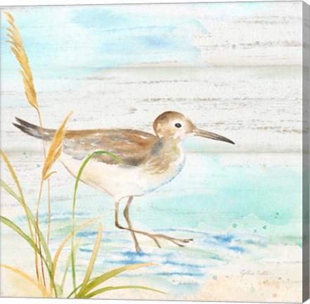 Framed Sandpiper Beach I Print