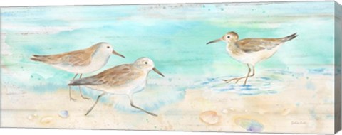 Framed Sandpiper Beach Panel Print