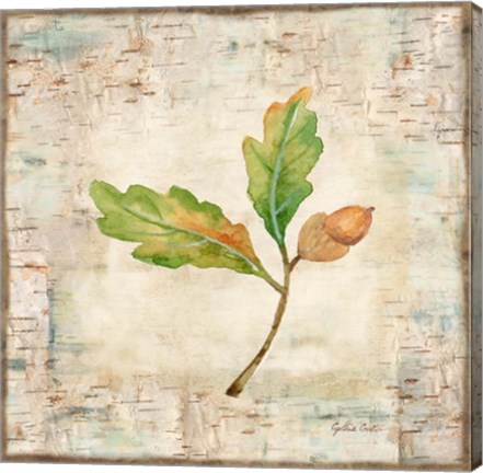 Framed Nature Walk Leaves II Print