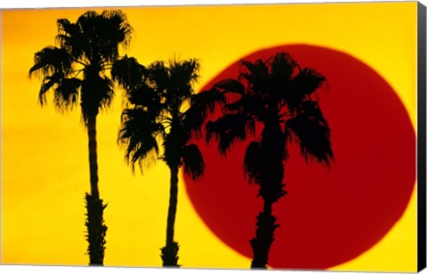 Framed 1990S 3 Silhouetted Palm Trees Print