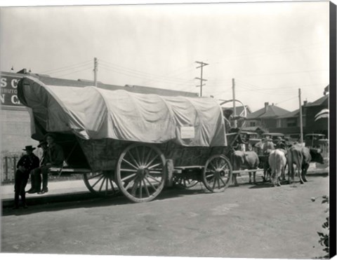 Framed 1920s Ox Drawn Conestoga Covered Wagon Print