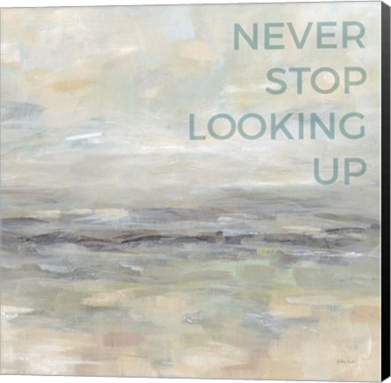 Framed Never Stop Looking Up Print