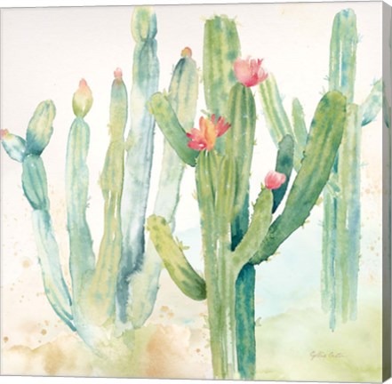 Framed Cactus Garden II Print