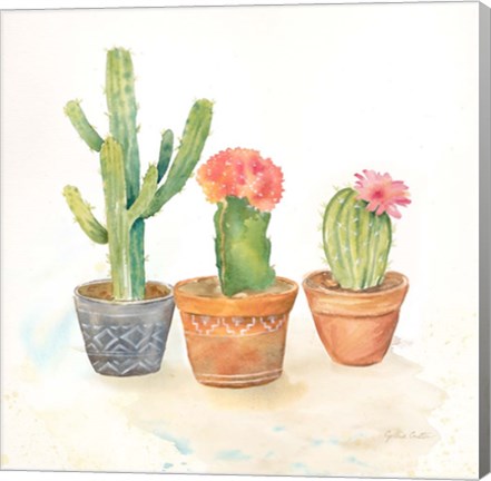 Framed Cactus Pots III Print