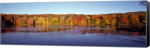 Framed Reflection of Trees and Plants in Water, Bergen County, New Jersey Print