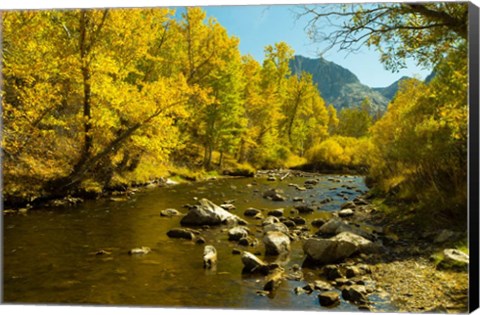 Framed Loop Falls, June Lake, California Print