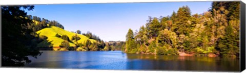 Framed Trees at Lakeshore, Lake Lagunitas, California Print