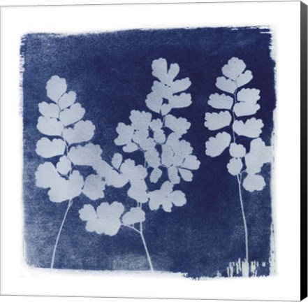 Framed Flora Cyanotype II Print