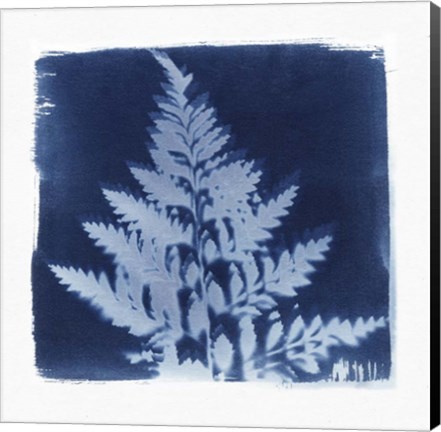 Framed Flora Cyanotype II Print