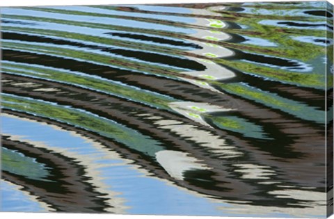 Framed Green Trees Reflected in River with Ripples on the Water Print