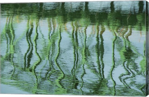 Framed Green Bridge Reflection in Water Print