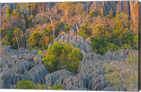 Framed Limestone Formations, Tsingy de Bemaraha Strict Nature Reserve, Madagascar Print