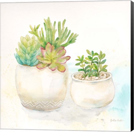 Framed Sweet Succulent Pots I Print