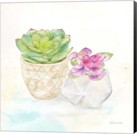 Framed Sweet Succulent Pots III Print