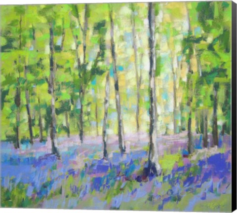 Framed Bluebell Woods III Print