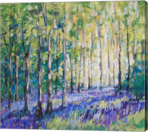 Framed Bluebell Woods IV Print