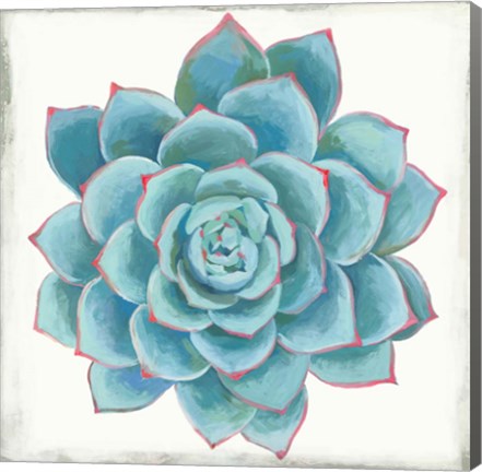 Framed Pastel Succulent II Print