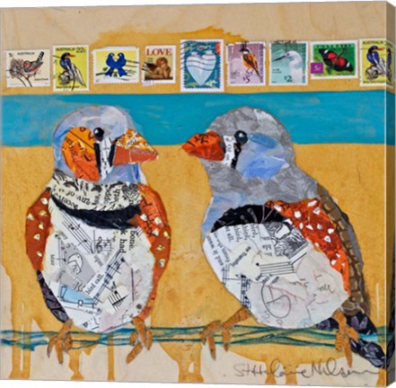 Framed Zebra Finch Lovebirds #4 Print